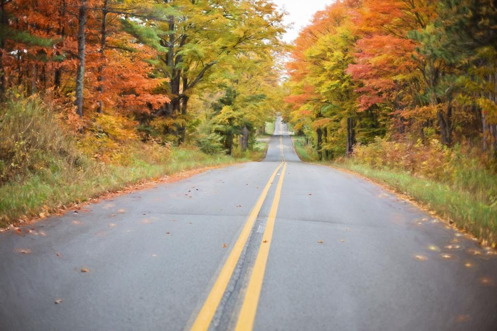 Free Image of View of Autumn road with fall colors 