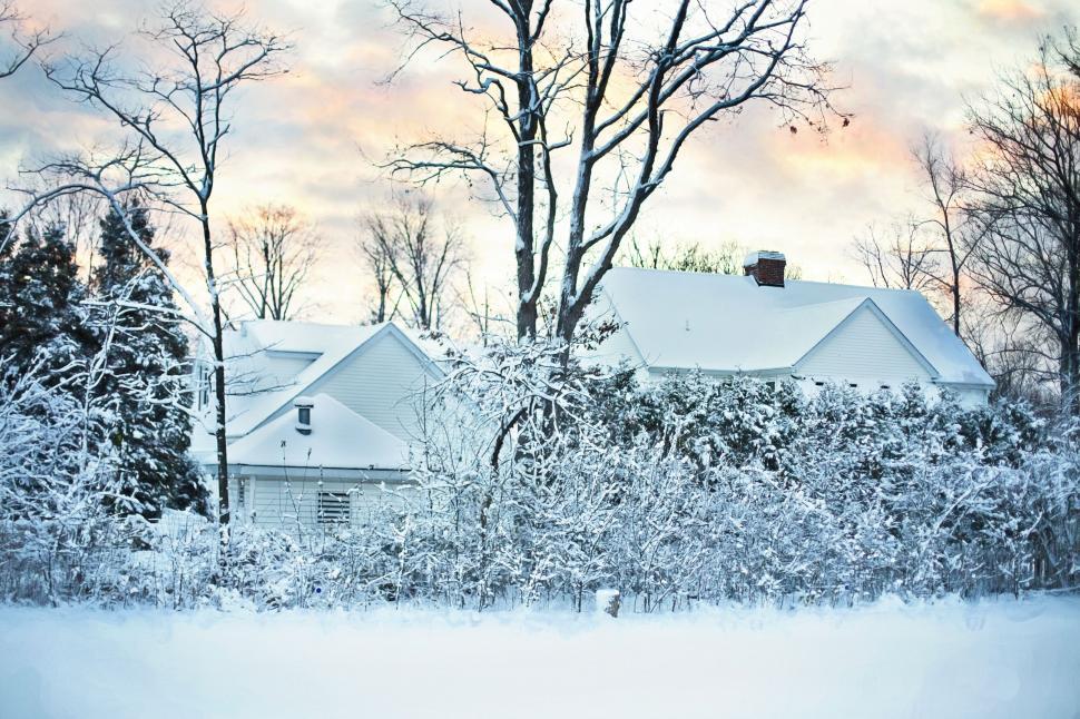 Free Image of Houses covered in snow 