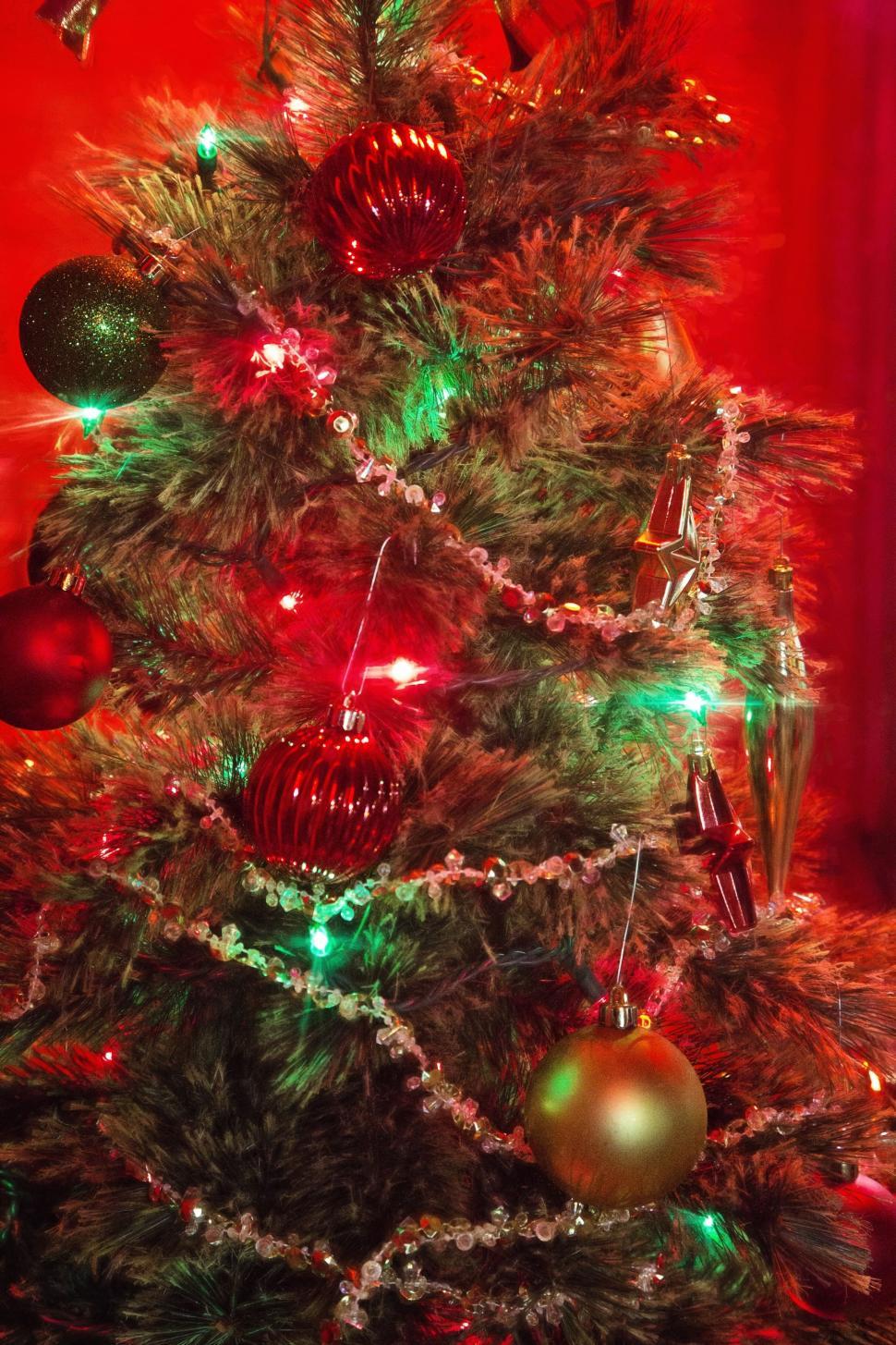Free Image of Christmas tree 