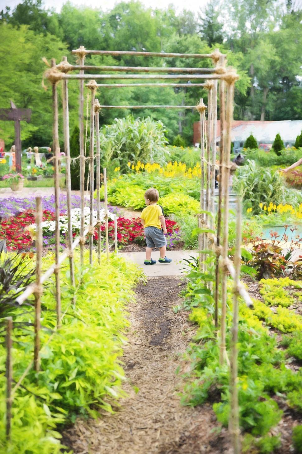 Free Image of Flower Garden and Little Child  