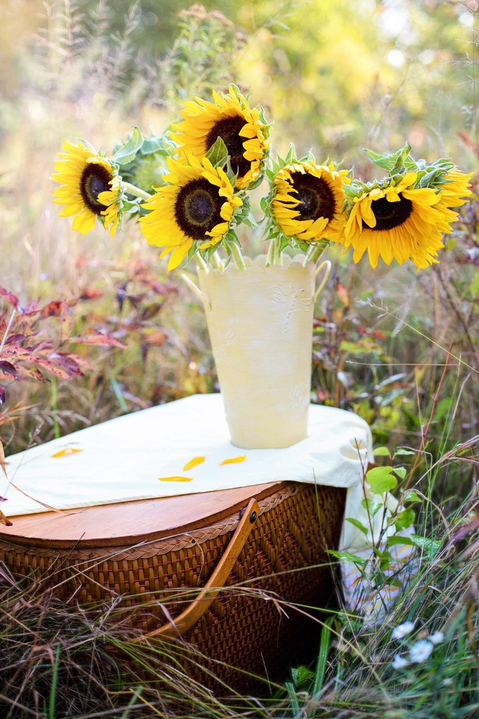 Free Image of Picnic Basket and Sunflowers  