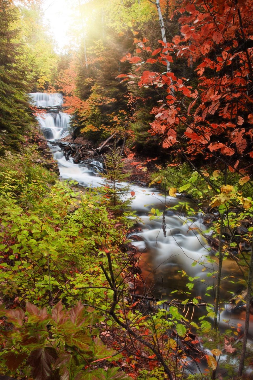 Free Image of Forest Waterfall  
