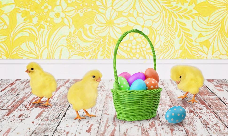 Free Image of Chicks and Easter Eggs  