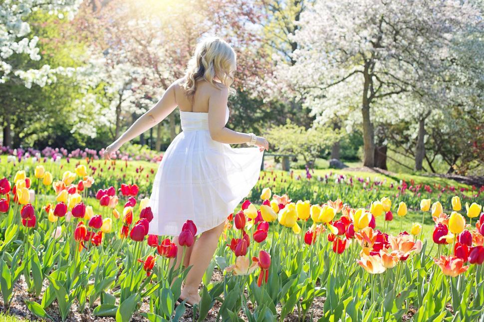 Free Image of Back View of Woman in Tulip Field  