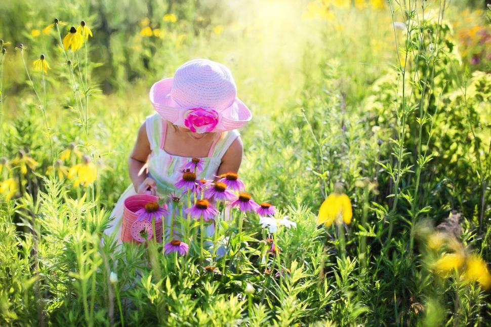 Free Image of Little Girl with pink hat in the flower field - looking down  