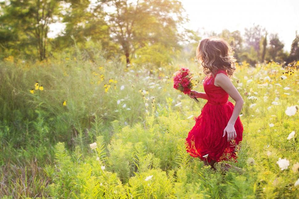 Free Image of Red Dress Woman in Meadow With Red Flowers 