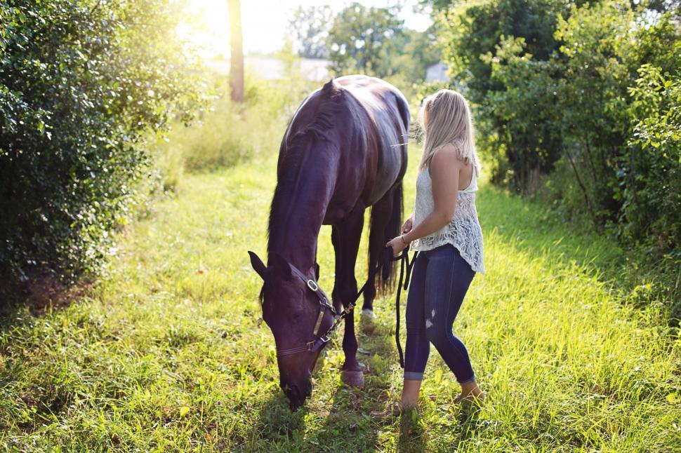 Free Image of Blonde Woman and horse  