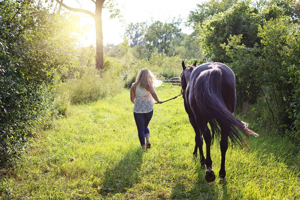 Free Image of Back View of Blonde Woman Running With Horse  