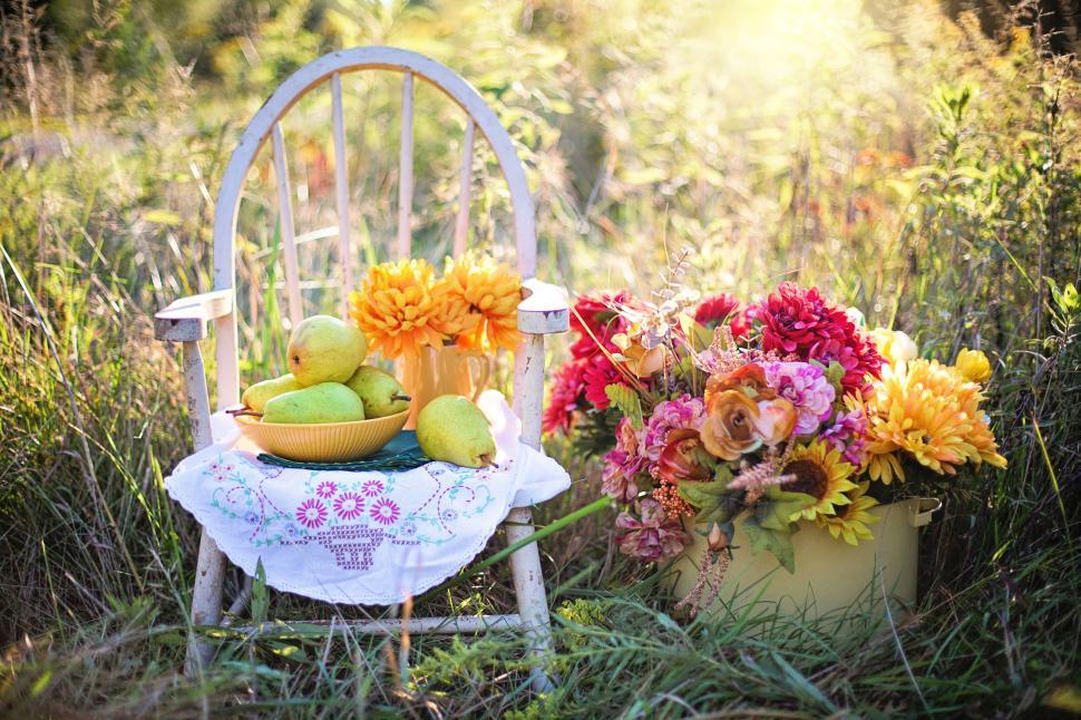 Free Image of Pears on chair with colorful flowers  