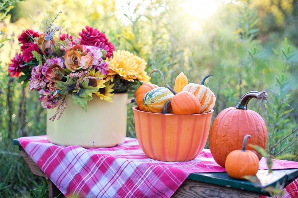 Free Image of Pumpkins and colorful flowers on table cloth 
