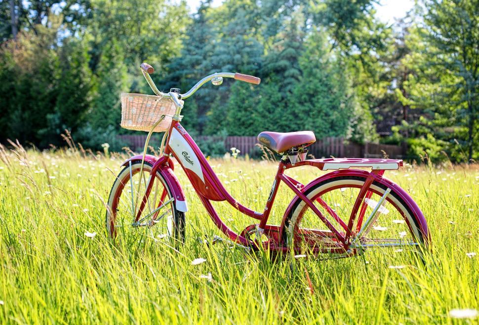 Free Image of Bicycle in the meadow 