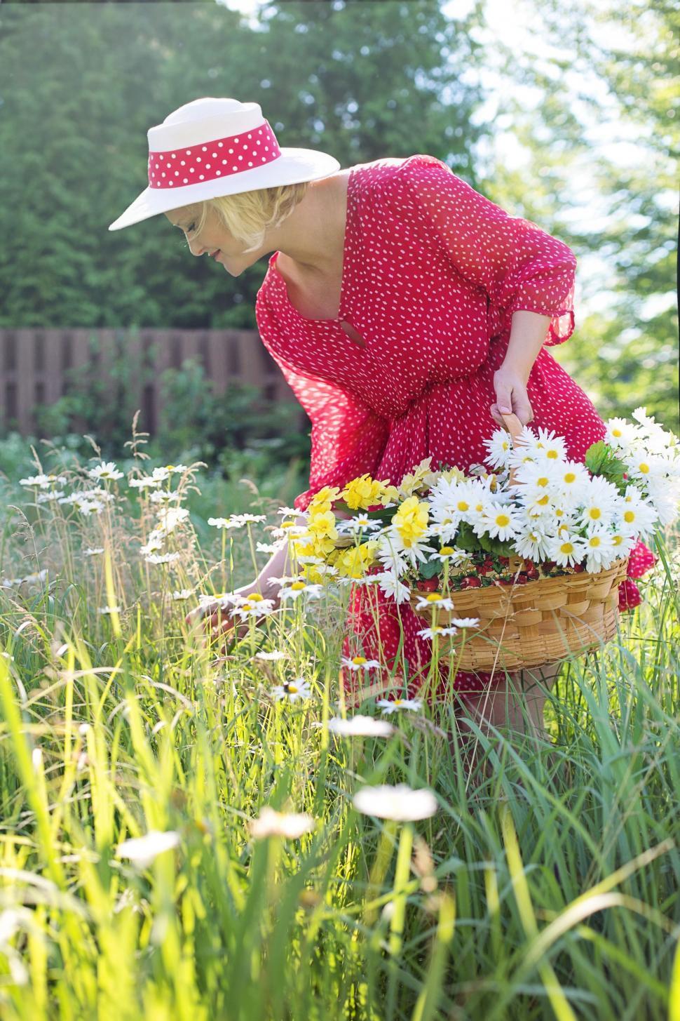 Free Image of Woman in Red Dress With Hat in Daisy Flower Field 
