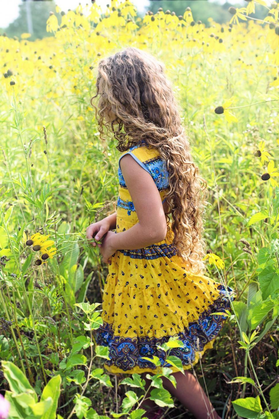 Free Image of Little Girl Standing in Yellow Flower Field  
