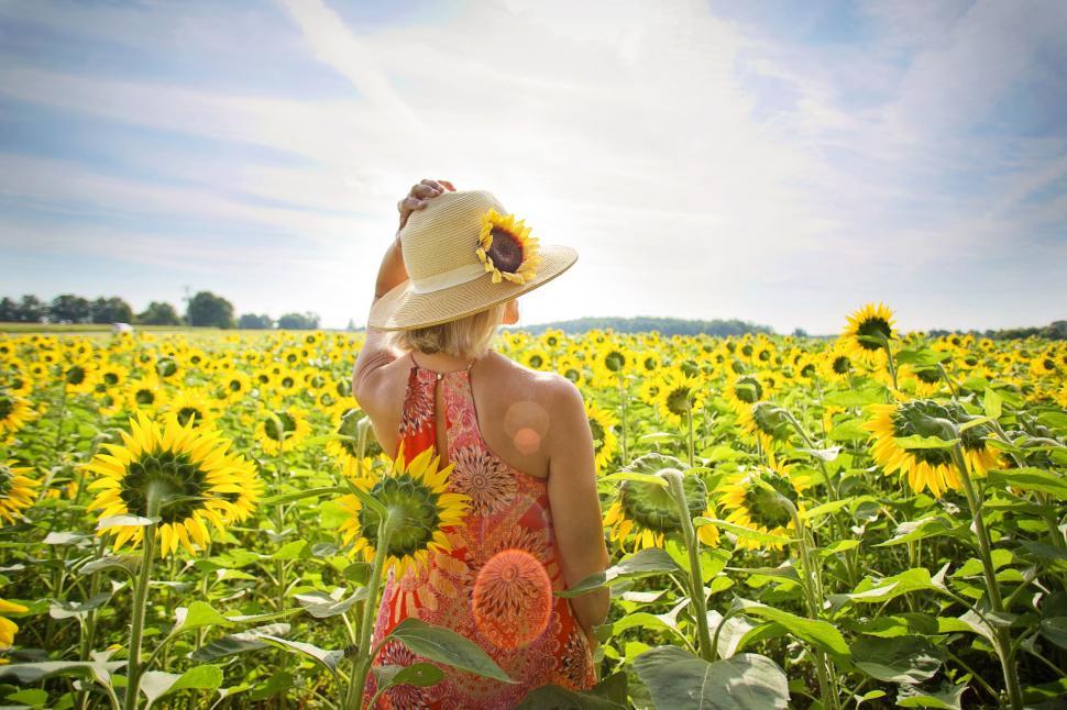 Free Image of Back View of Woman And Sunflowers  
