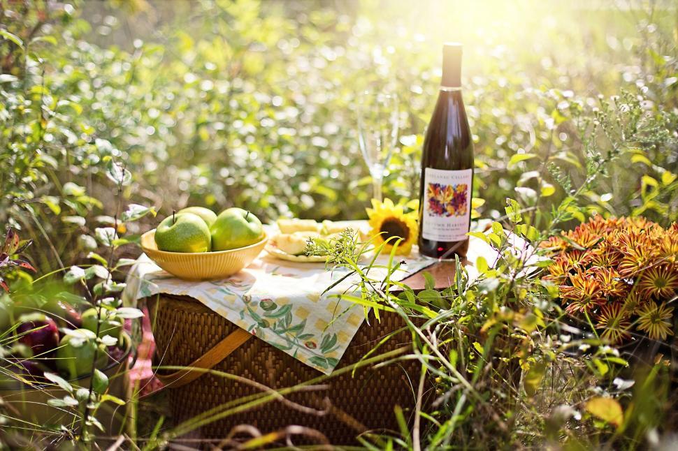 Free Image of Wine and Apples on Basket in the meadow 