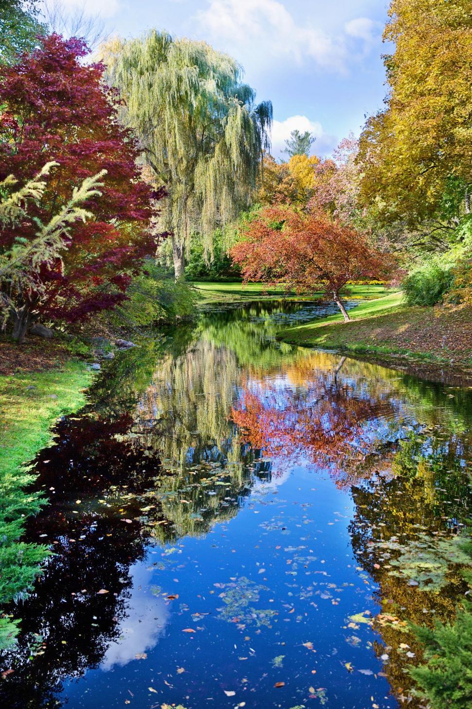 Free Image of Autumn Trees and Pond in Park  