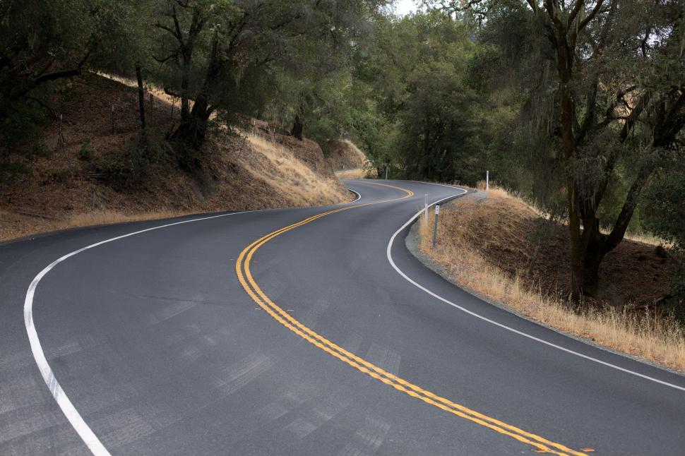Free Image of Curved Road With Trees  