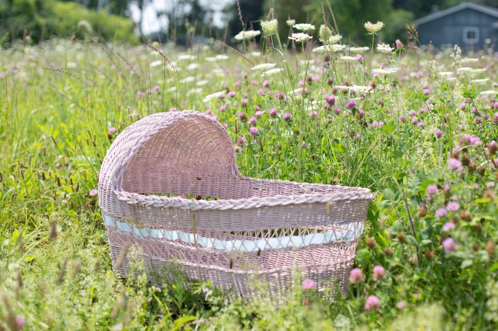 Free Image of Baby bassinet basket 