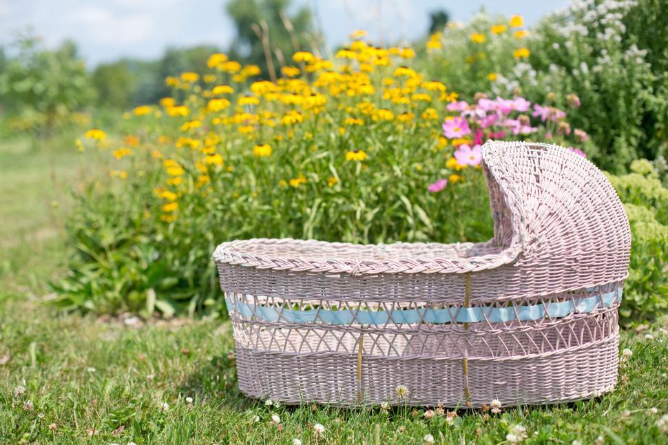 Free Image of Bassinet cradle and flowers  