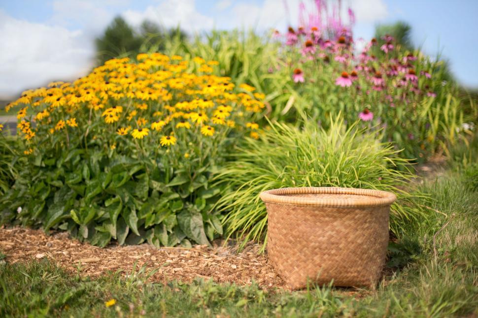 Free Image of Wicker Basket and Flowers  
