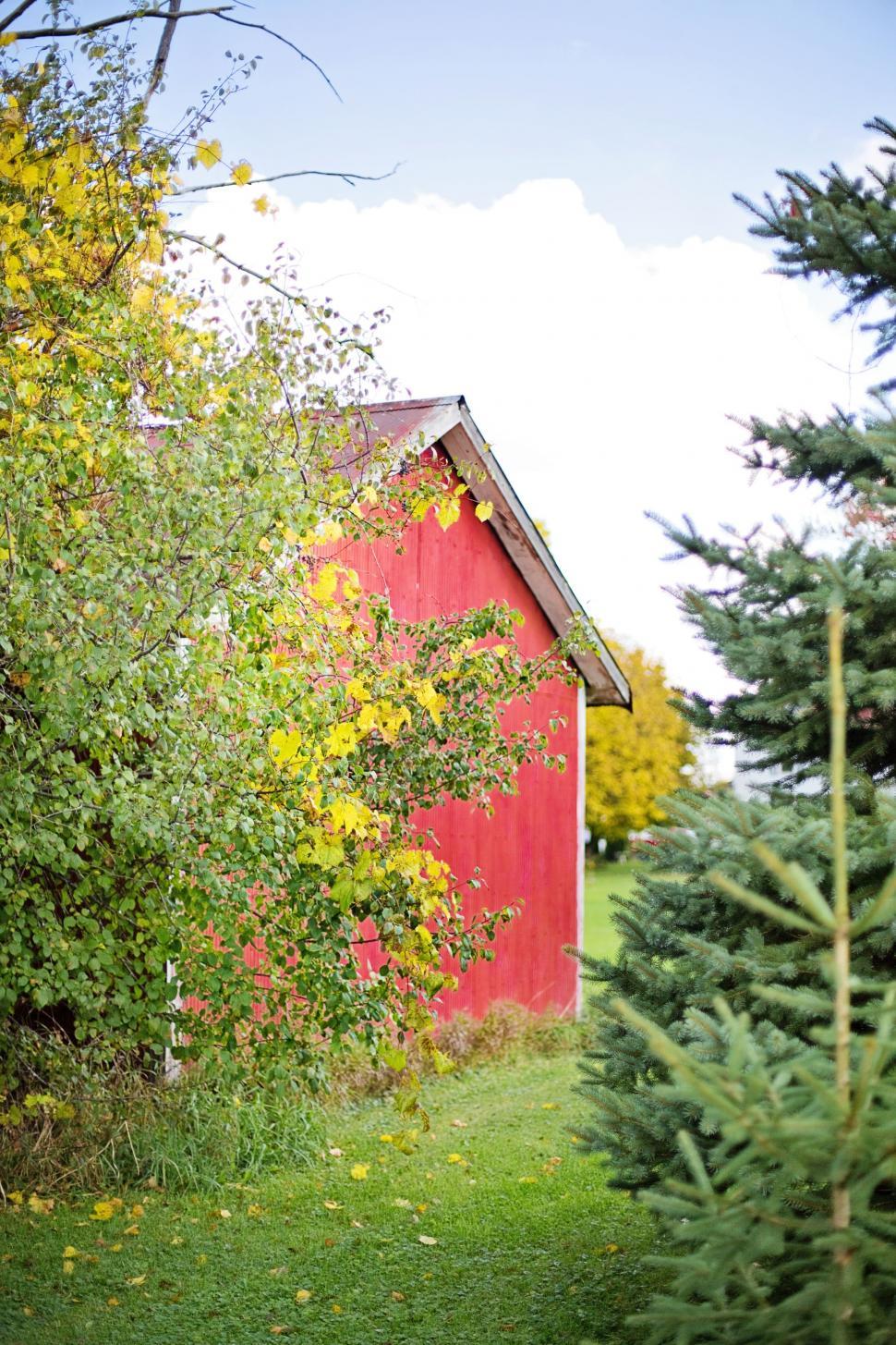 Free Image of Red Barn 