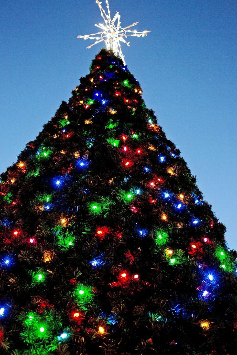 Free Image of Night View of Christmas Tree  