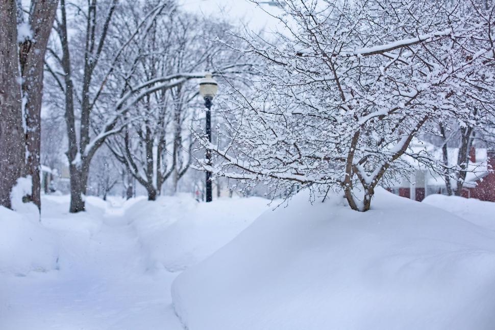 Download Free Stock Photo of Snowy street with lamp post in Michigan 