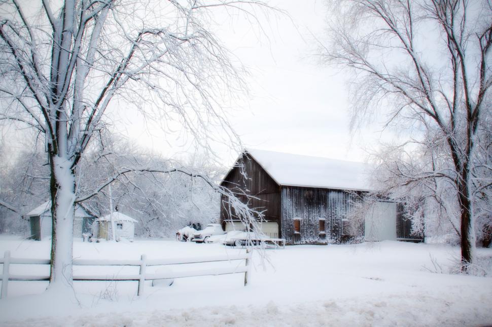 Free Image of Barn and Trees in Winter  