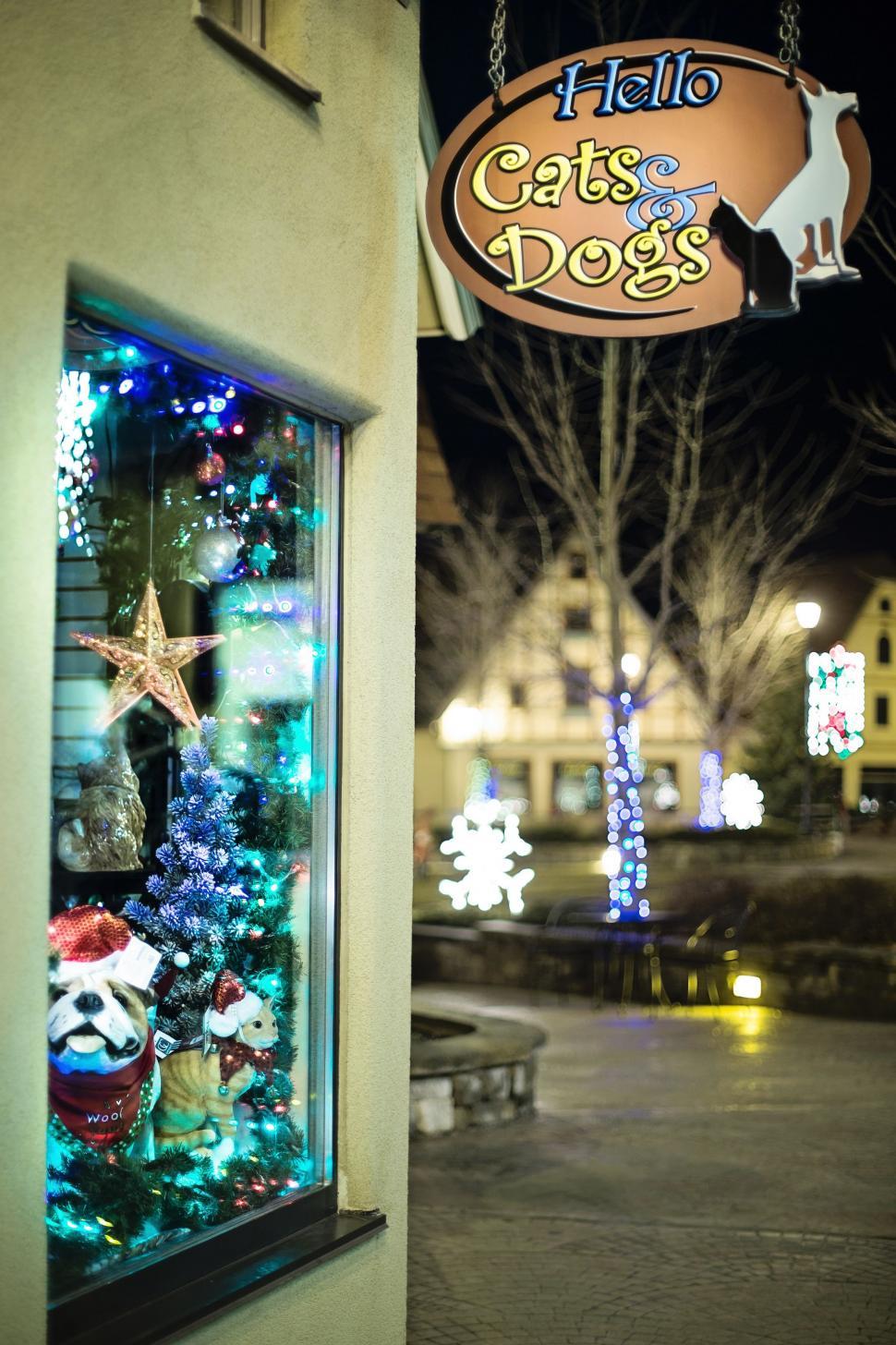 Free Image of Christmas store at night  