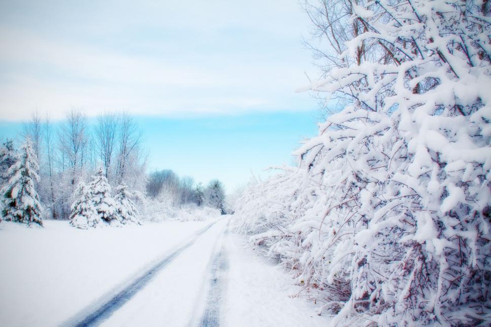 Free Image of Snowy Road 