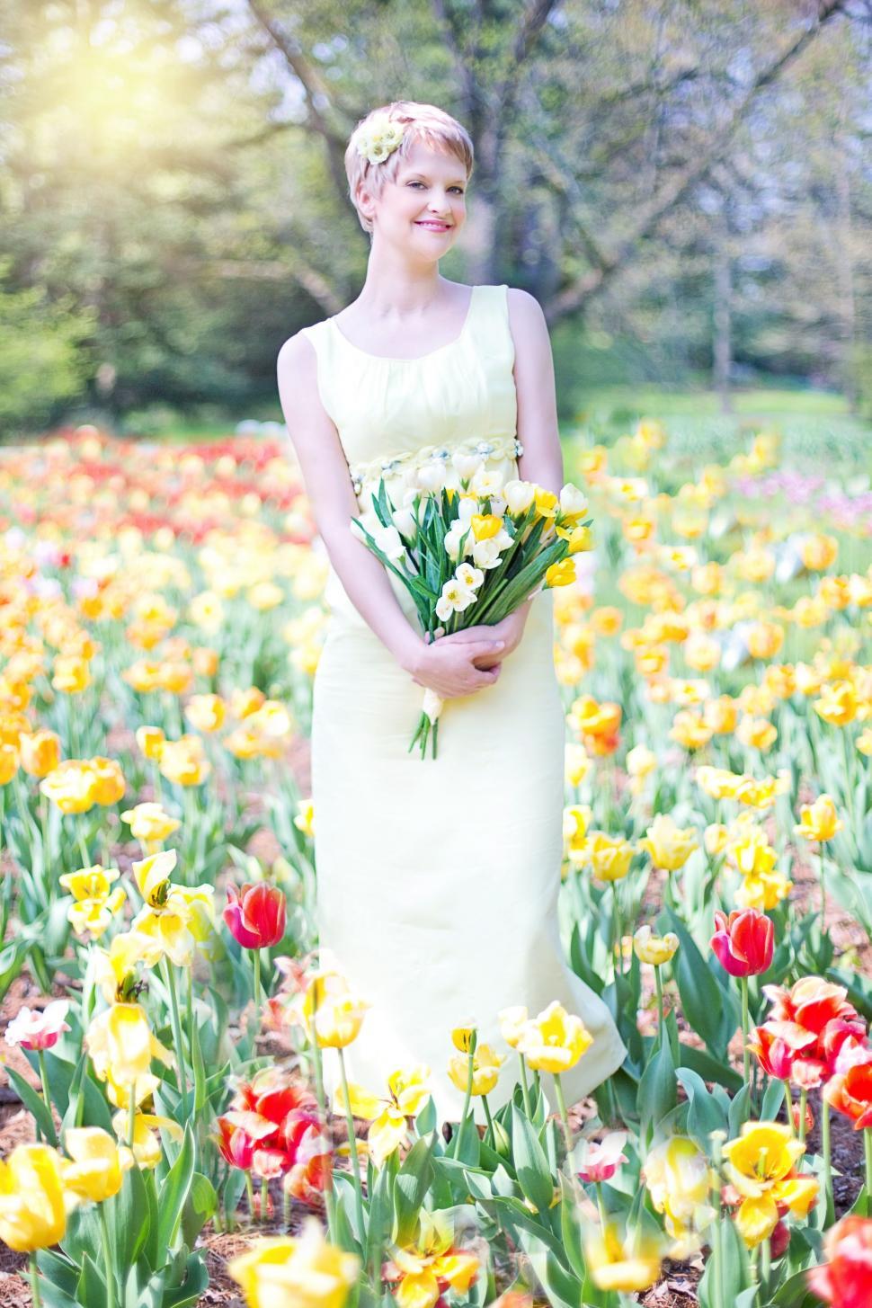 Free Image of Short Hair Woman Standing in Tulip Field - Looking at camera  