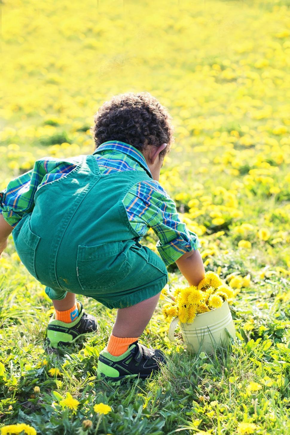 Free Image of Little Kid And Yellow Flowers  