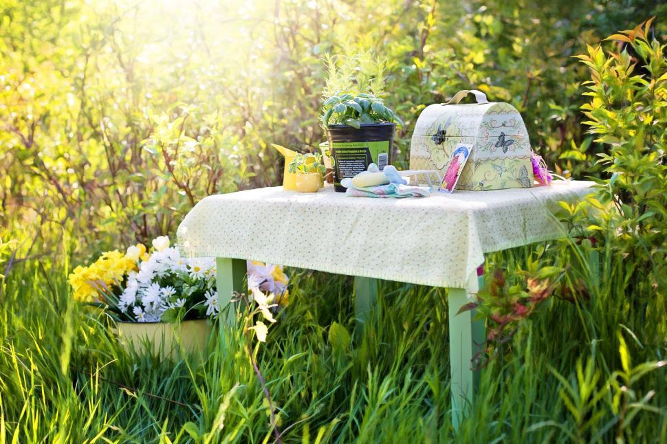 Free Image of Gardening Tools on Green Table  