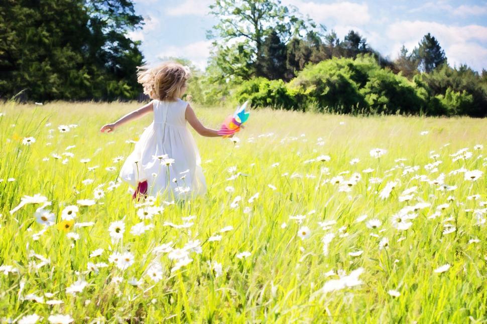 Free Image of Back View of Little Girl in White Daisy Flower Field  