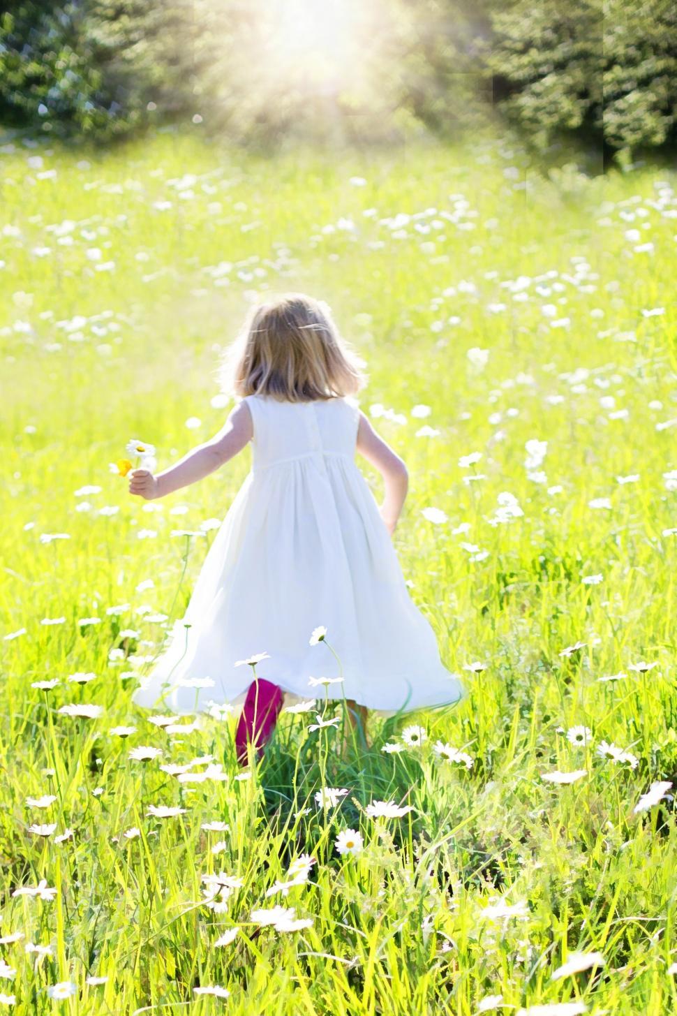 Free Image of Little Girl Walking in White Flower Field  