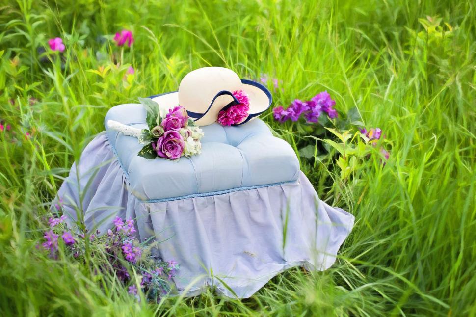 Free Image of Footstool and Purple Flowers in the garden 