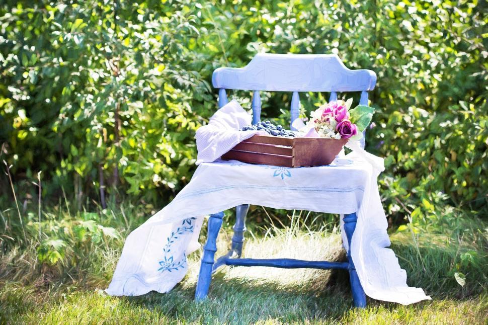 Free Image of Chair and Blueberries With Flowers and Green Leaves 