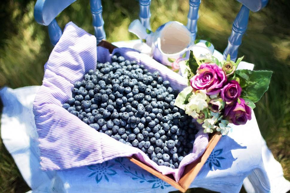 Free Image of Blueberries and flowers  