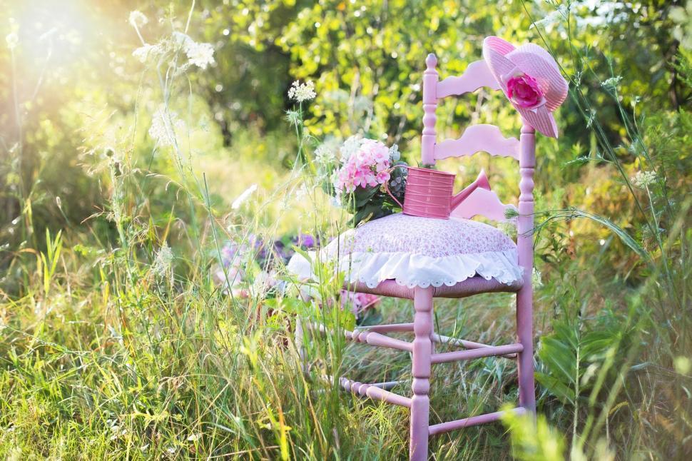 Free Image of Pink Chair in Garden  