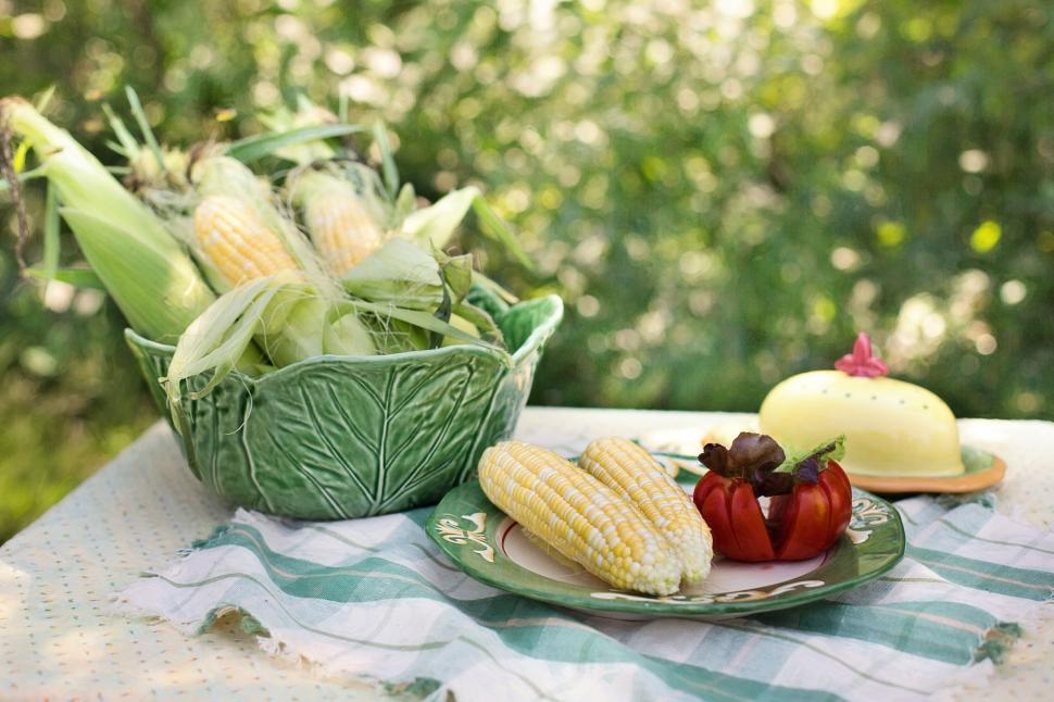 Free Image of Corn Cobs on table  