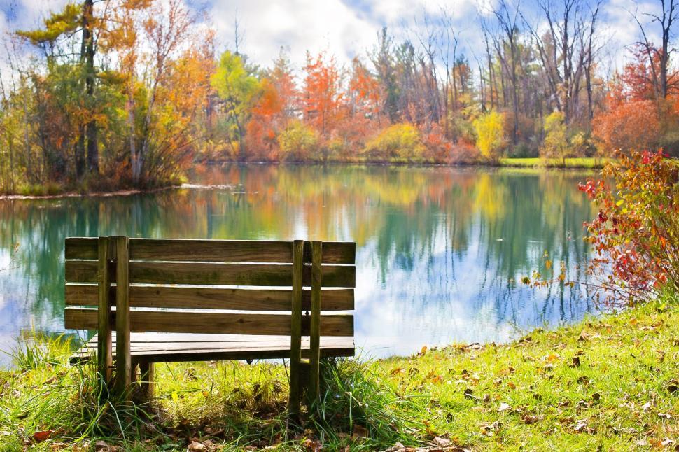 Free Image of Bench and Autumn Trees With Pond in Park  