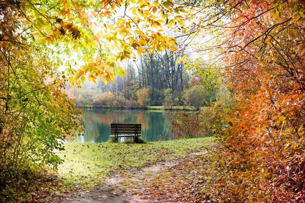 Free Image of Bench and Autumn Trees With Pond 