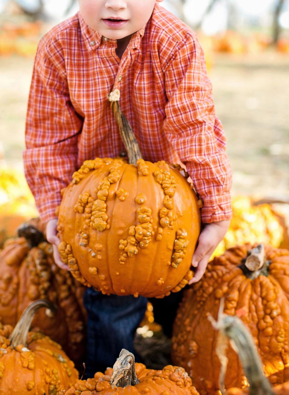 Free Image of Little Kid with Big Pumpkin  