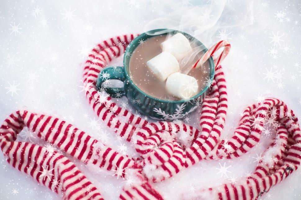 Free Image of Chocolate Cup With Scarf in Snow  