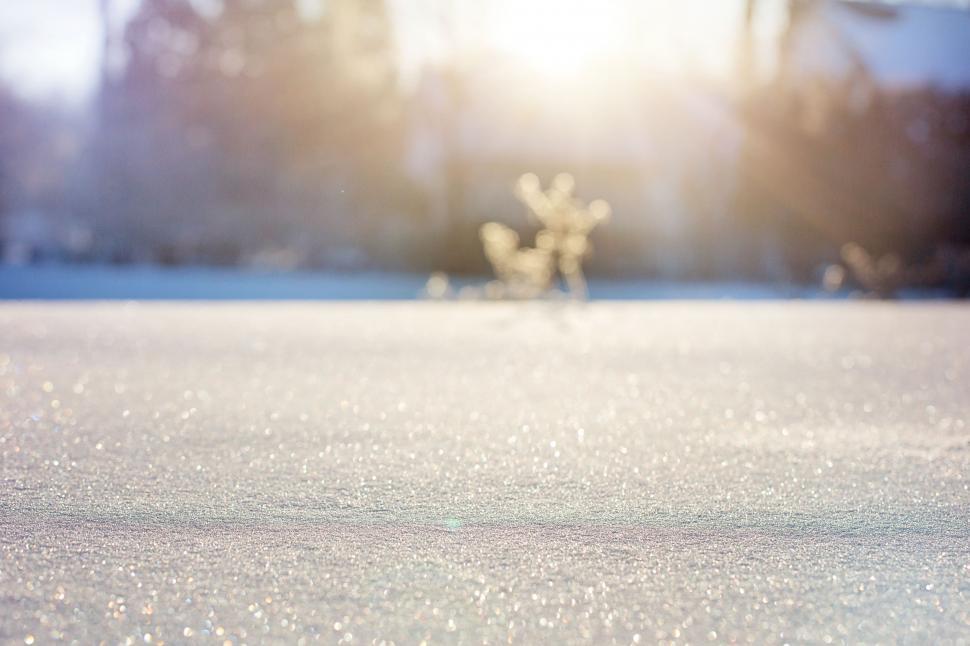 Free Image of Blurry Snowflakes and sunlight  