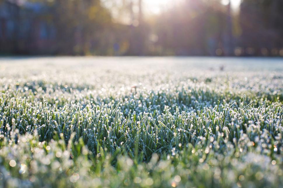 Free Image of Blurry View of Frost on the grass 