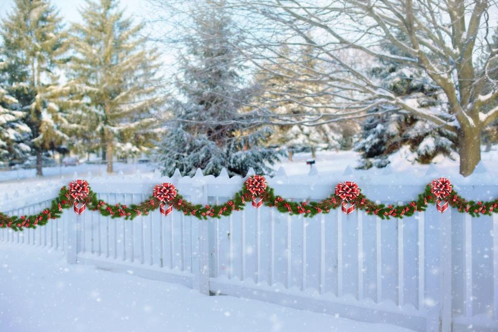 Free Image of Christmas flowers on white fence in snow 