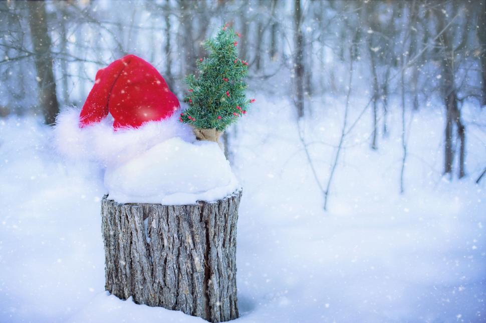 Free Image of Santa Hat and Tiny Xmas Tree in Snow 
