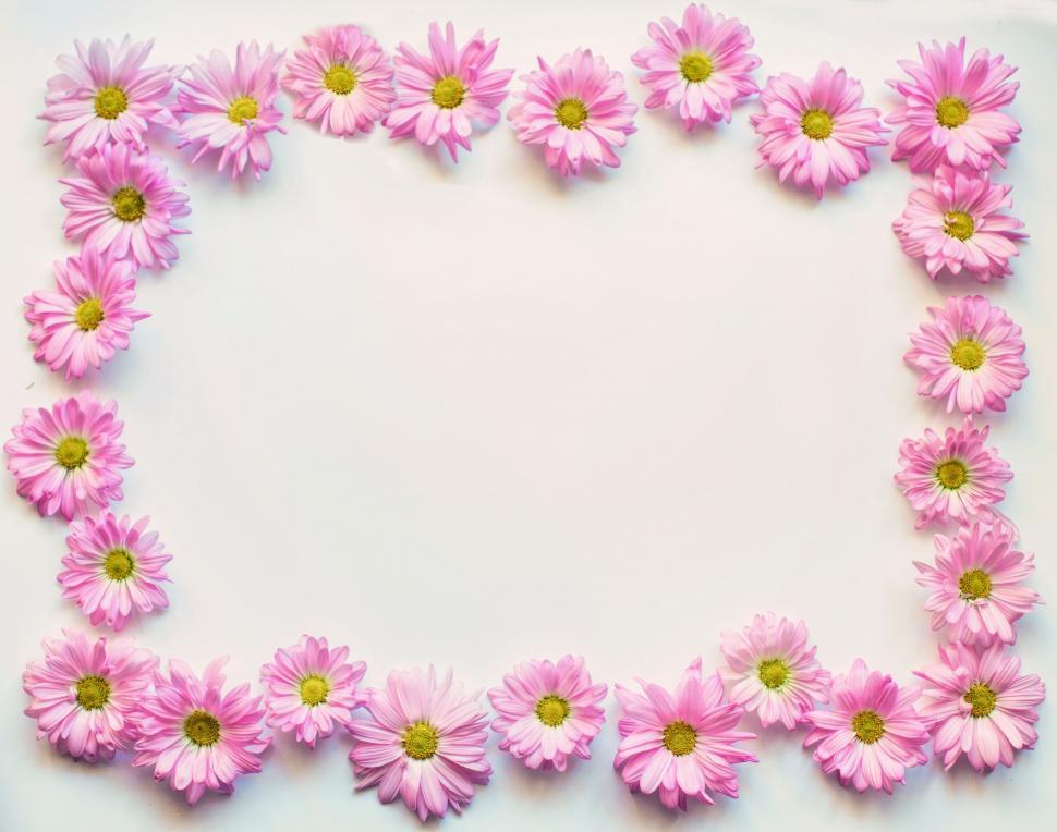 Free Image of Pink Flowers - Frame 