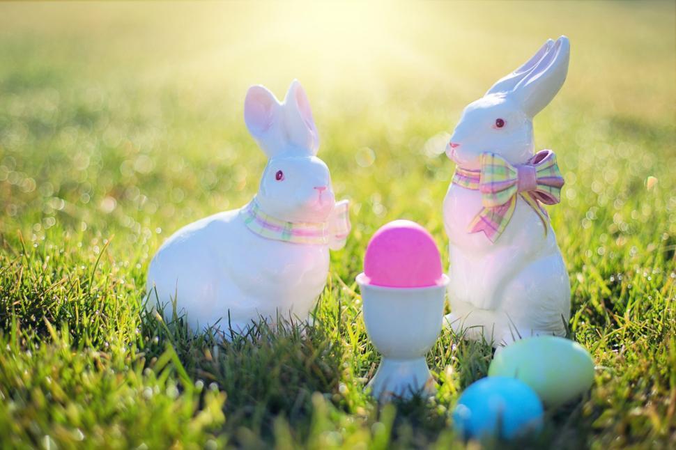 Free Image of Easter Bunnies and Grass  